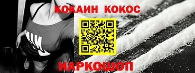 шишки Аргун