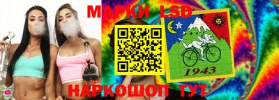 шишки Аргун