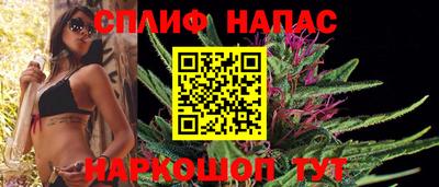 шишки Аргун