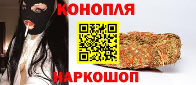 шишки Аргун