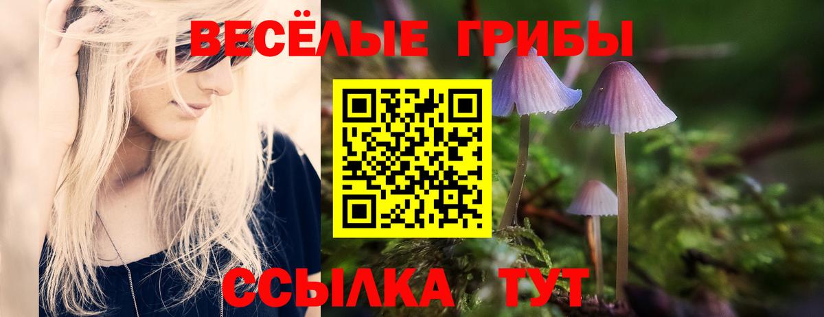 Выкса  Псилоцибиновые грибы мицелий  как найти наркотики  Вход с VPN 