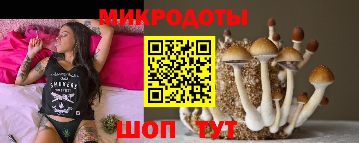 Галлюциногенные грибы MAGIC MUSHROOMS Выкса